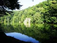 panoramio.com Parz