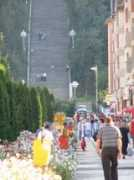 panoramio.com Pascani