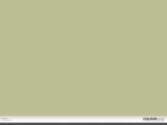 colourlovers.com Pashaa