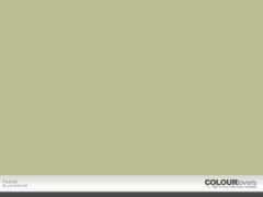 colourlovers.com Pashaa
