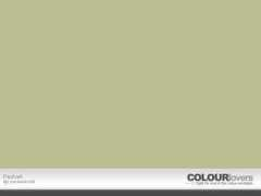 colourlovers.com Pashaa