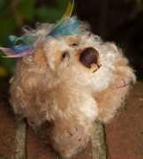 bearhugs.co.uk Pashmina