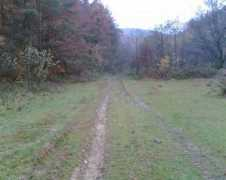 panoramio.com Pasika