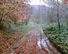 panoramio.com Pasika