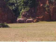 panoramio.com Pasito
