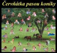 Pasou