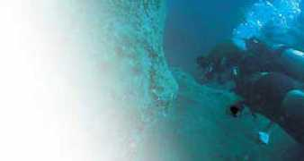 diver.com.ph Passana