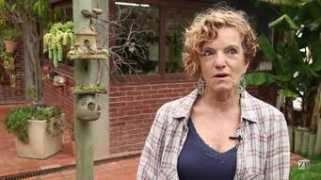 videos.clicrbs.com.br Passarinhos