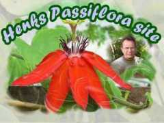 passiflora.se Passiflora