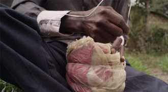 booooooom.com Passiton