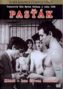 gorila.sk Pastak