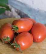 veggiegardener.com Pastes