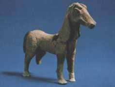 pithecusae.it Pastola