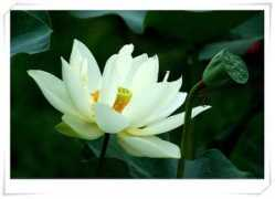 bloggang.com Patcharat