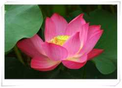 bloggang.com Patcharat