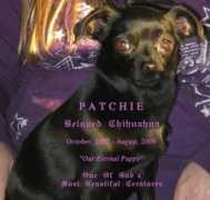 gerdysrescue.org Patchie