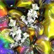 aromatherapy4soul.com Patchouly