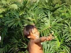 infoparaty.com Patei