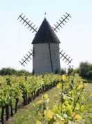 moulins-a-vent.net Patier