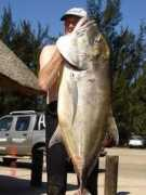 spearfishingsa.co.za Patinga