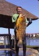 spearfishingsa.co.za Patinga