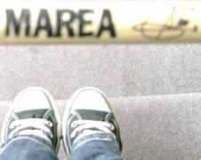 pez.bligoo.com Patitas