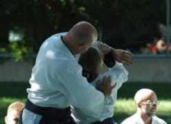stlouisaikikai.org Patjen