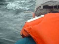 mustangs.racinginc.com Patouch