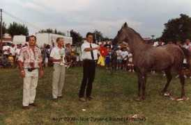 syl-arabians.com Patoula
