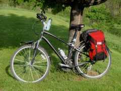 ecovelo.info Patrickz
