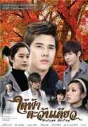 mianbao321.com Patsorn