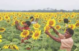 thedailystar.net Patuakhali