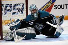 sharkspage.com Patzold