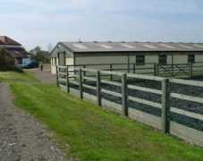 gemsbrookdressage.co.uk Paulas