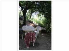 shared-house.com Paulianne