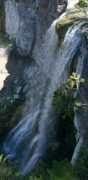 oregonwaterfalls.net Paulinar