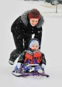 articles.herald-mail.com Pauliuc