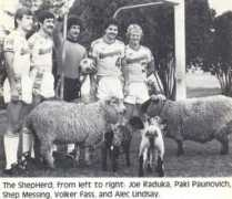 nasljerseys.com Paunovich