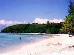 Paupau