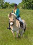 Paust