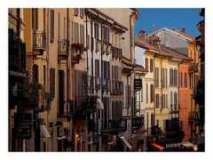 Pavia