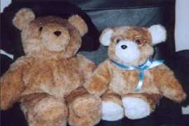 themousehole.org Pawline