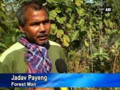 article.wn.com Payeng