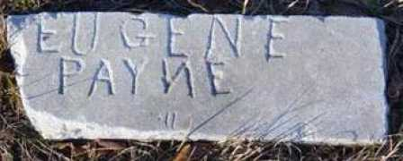 usgennet.org Paynee