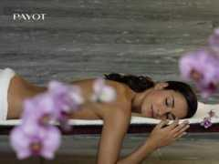 Payot