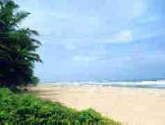 1uptravel.com Payyoli
