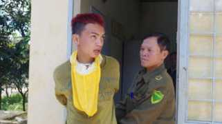 Pcdo