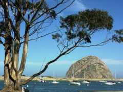 Pch