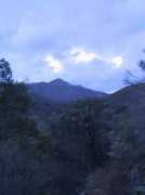 Pct