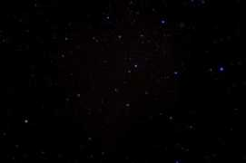 Pdark